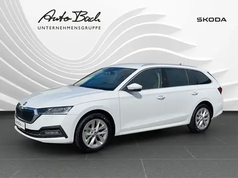 Annonce SKODA OCTAVIA Diesel 2023 d'occasion 