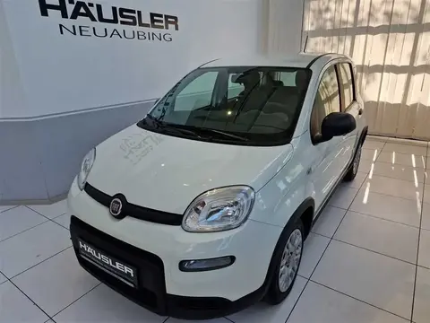 Annonce FIAT PANDA Essence 2023 d'occasion 