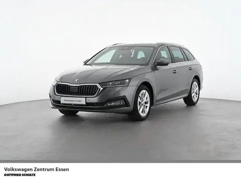 Used SKODA OCTAVIA Diesel 2023 Ad Germany