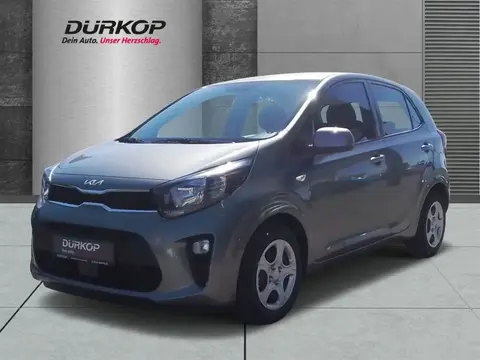 Annonce KIA PICANTO Essence 2024 d'occasion 