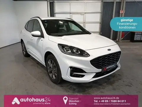 Used FORD KUGA Hybrid 2021 Ad 