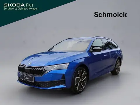 Annonce SKODA OCTAVIA Diesel 2024 d'occasion 