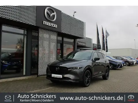 Used MAZDA CX-5 Petrol 2024 Ad 