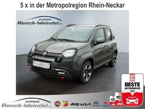 Used FIAT PANDA Petrol 2024 Ad 