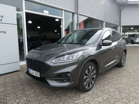 Annonce FORD KUGA Hybride 2023 d'occasion 