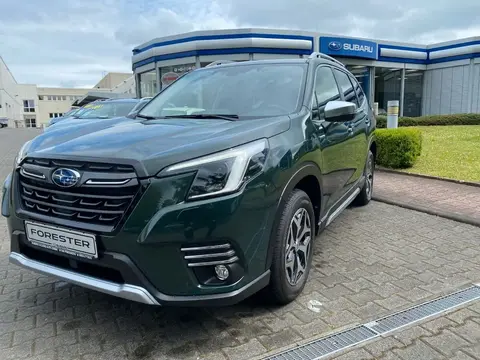 Used SUBARU FORESTER Petrol 2023 Ad 