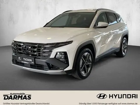 Used HYUNDAI TUCSON Diesel 2024 Ad 