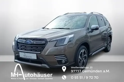 Annonce SUBARU FORESTER Essence 2024 d'occasion 