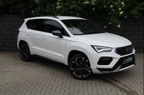 Used CUPRA ATECA Petrol 2024 Ad 