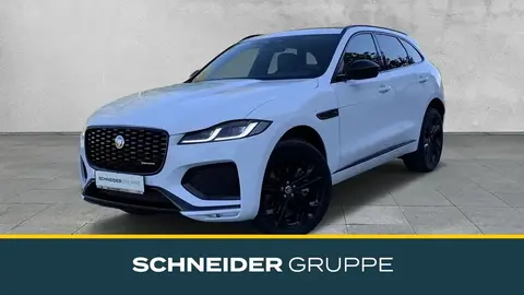 Annonce JAGUAR F-PACE Diesel 2024 d'occasion 