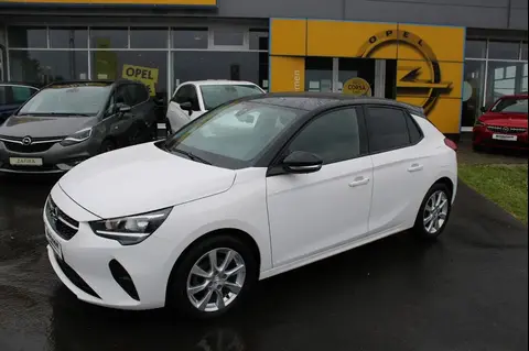 Annonce OPEL CORSA Essence 2021 d'occasion 