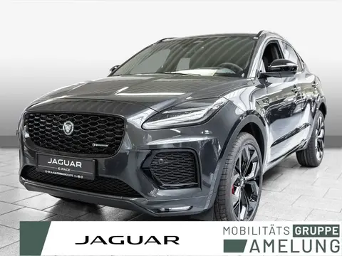 Used JAGUAR E-PACE Petrol 2024 Ad 