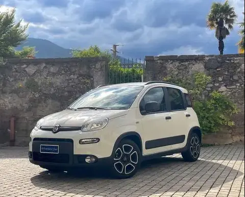 Used FIAT PANDA Petrol 2020 Ad 