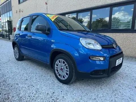 Annonce FIAT PANDA Hybride 2024 d'occasion 