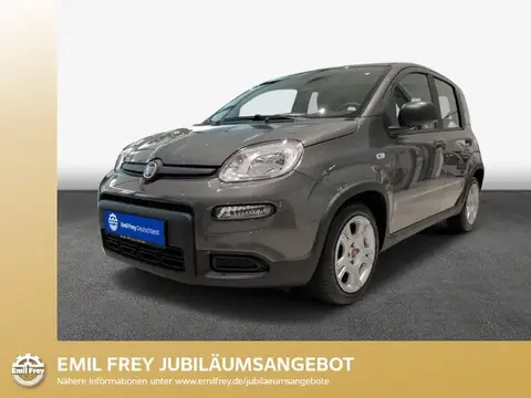 Annonce FIAT PANDA Essence 2024 d'occasion 