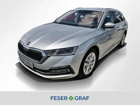 Used SKODA OCTAVIA Diesel 2020 Ad 