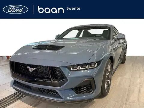 Annonce FORD MUSTANG Essence 2024 d'occasion 