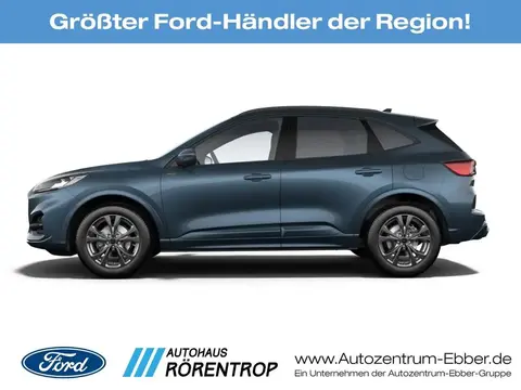 Annonce FORD KUGA Hybride 2024 d'occasion 