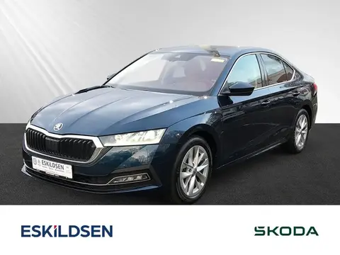 Used SKODA OCTAVIA Petrol 2023 Ad 