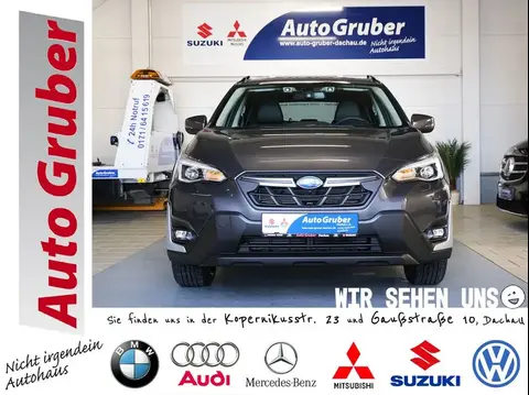 Used SUBARU XV Petrol 2023 Ad 