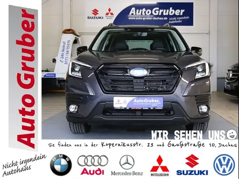 Annonce SUBARU FORESTER Essence 2023 d'occasion 