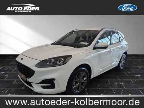 Used FORD KUGA Hybrid 2022 Ad 