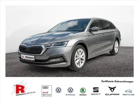 Used SKODA OCTAVIA Diesel 2023 Ad 