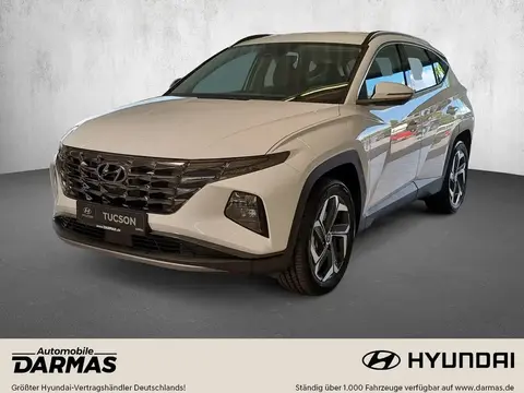 Used HYUNDAI TUCSON Hybrid 2024 Ad 