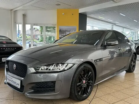 Used JAGUAR XE Diesel 2018 Ad 