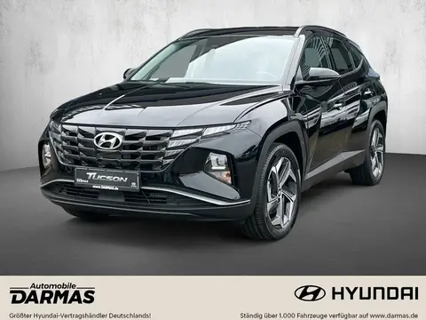 Annonce HYUNDAI TUCSON Hybride 2024 d'occasion 