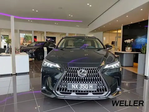 Annonce LEXUS NX Hybride 2024 d'occasion 