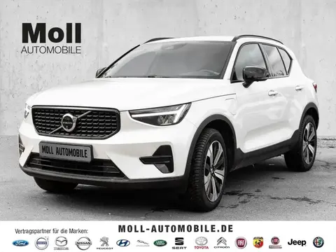 Used VOLVO XC40 Hybrid 2023 Ad Germany