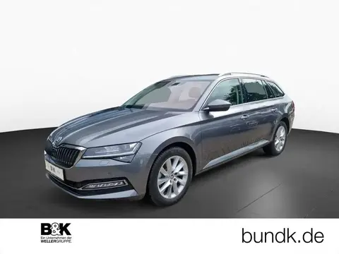 Annonce SKODA SUPERB Diesel 2023 d'occasion 