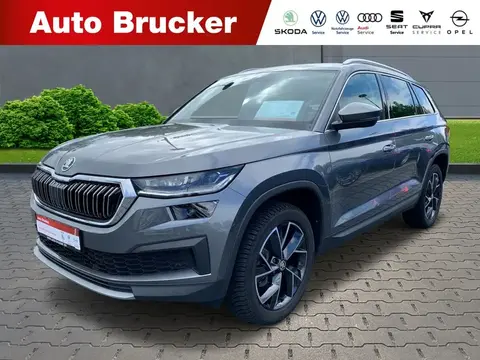 Annonce SKODA KODIAQ Diesel 2023 d'occasion 