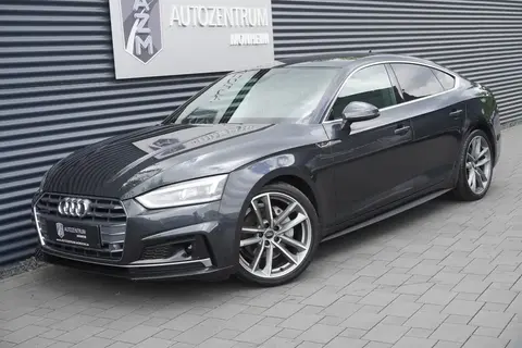 Used AUDI A5 Diesel 2019 Ad Germany