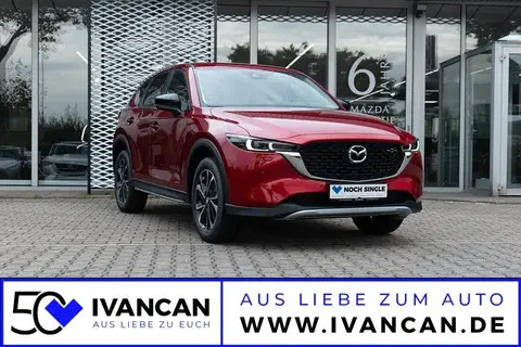 Used MAZDA CX-5 Petrol 2023 Ad 