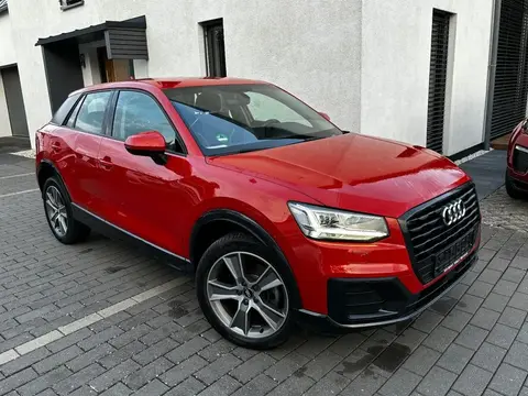 Used AUDI Q2 Diesel 2017 Ad Germany