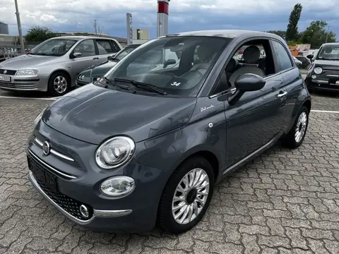 Used FIAT 500 Petrol 2021 Ad 