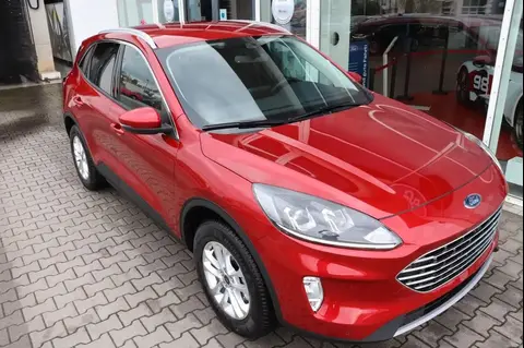 Used FORD KUGA Hybrid 2023 Ad 