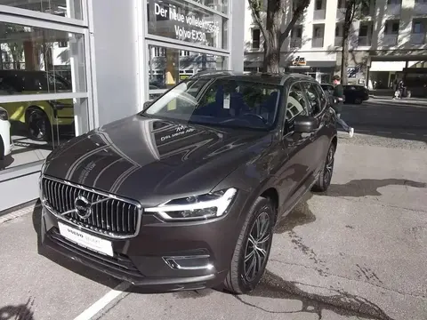 Annonce VOLVO XC60 Diesel 2020 d'occasion 