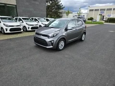 Used KIA PICANTO Petrol 2024 Ad 