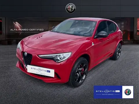 Used ALFA ROMEO STELVIO Petrol 2023 Ad 