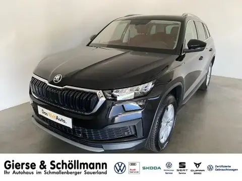 Used SKODA KODIAQ Diesel 2023 Ad 