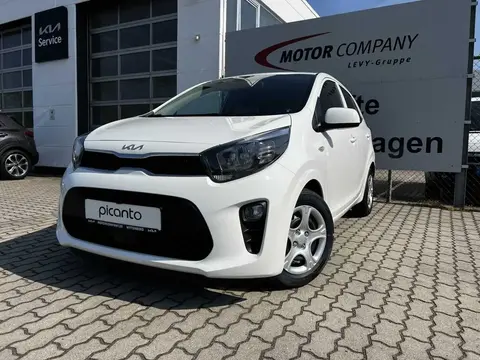 Annonce KIA PICANTO Essence 2024 d'occasion 