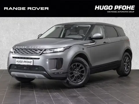 Annonce LAND ROVER RANGE ROVER EVOQUE Diesel 2019 d'occasion 