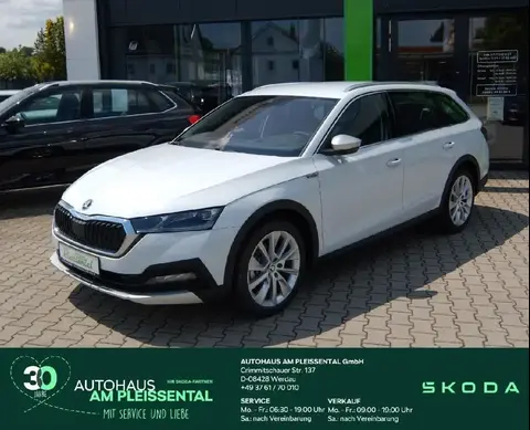 Used SKODA OCTAVIA Diesel 2023 Ad 