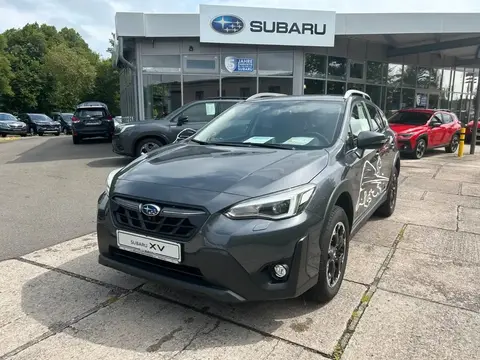 Used SUBARU XV Petrol 2023 Ad 