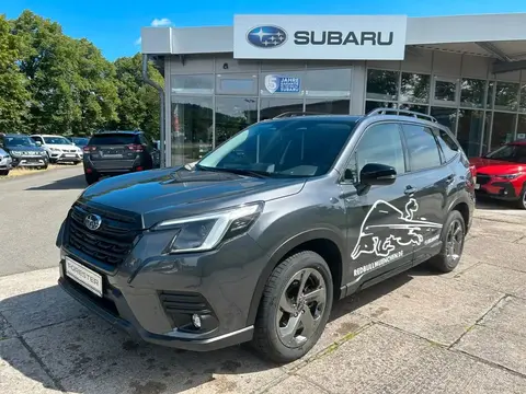 Used SUBARU FORESTER Petrol 2023 Ad 