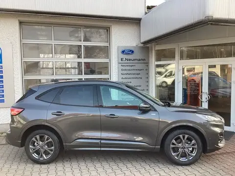 Annonce FORD KUGA Essence 2024 d'occasion 