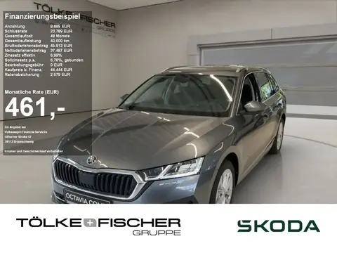 Annonce SKODA OCTAVIA Diesel 2024 d'occasion 